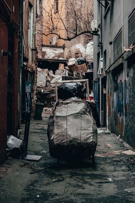A large green waste collection bin filled with a variety of discarded cardboard boxes, some flattened and others partially intact, alongside wooden pallets leaning against the side of the bin. The cardboard is in different shades of brown, with some boxes showing printed labels or tape remnants. In the background, a skip loader vehicle with a blue-green body and controlling arm is visible, situated on a paved urban street with multi-story buildings and green trees. The scene is outdoors during daytime, under overcast lighting, illustrating an area prepared for rubbish removal or private waste collection involving cardboard and wooden debris, consistent with alternative waste handling services like those offered by House Clearance Knightsbridge.